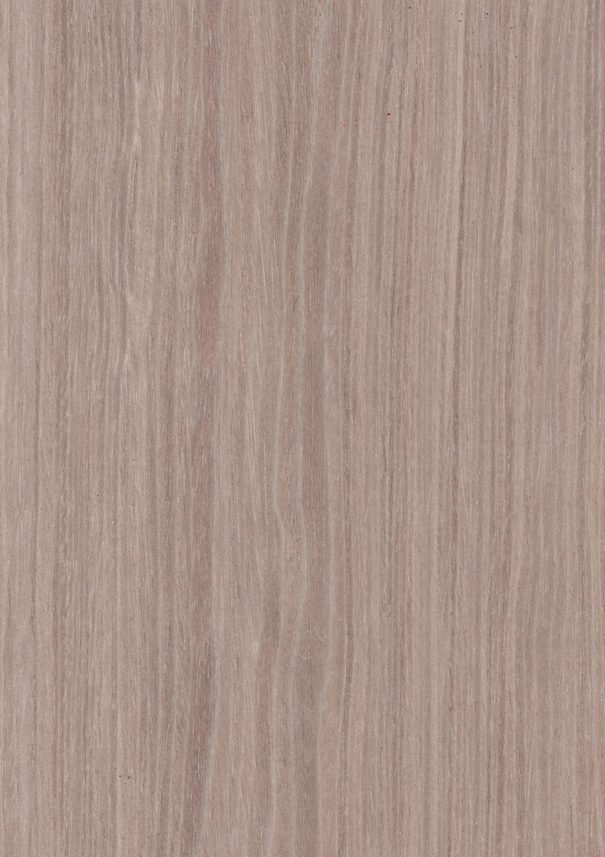 Grey Oak Planked 7792N