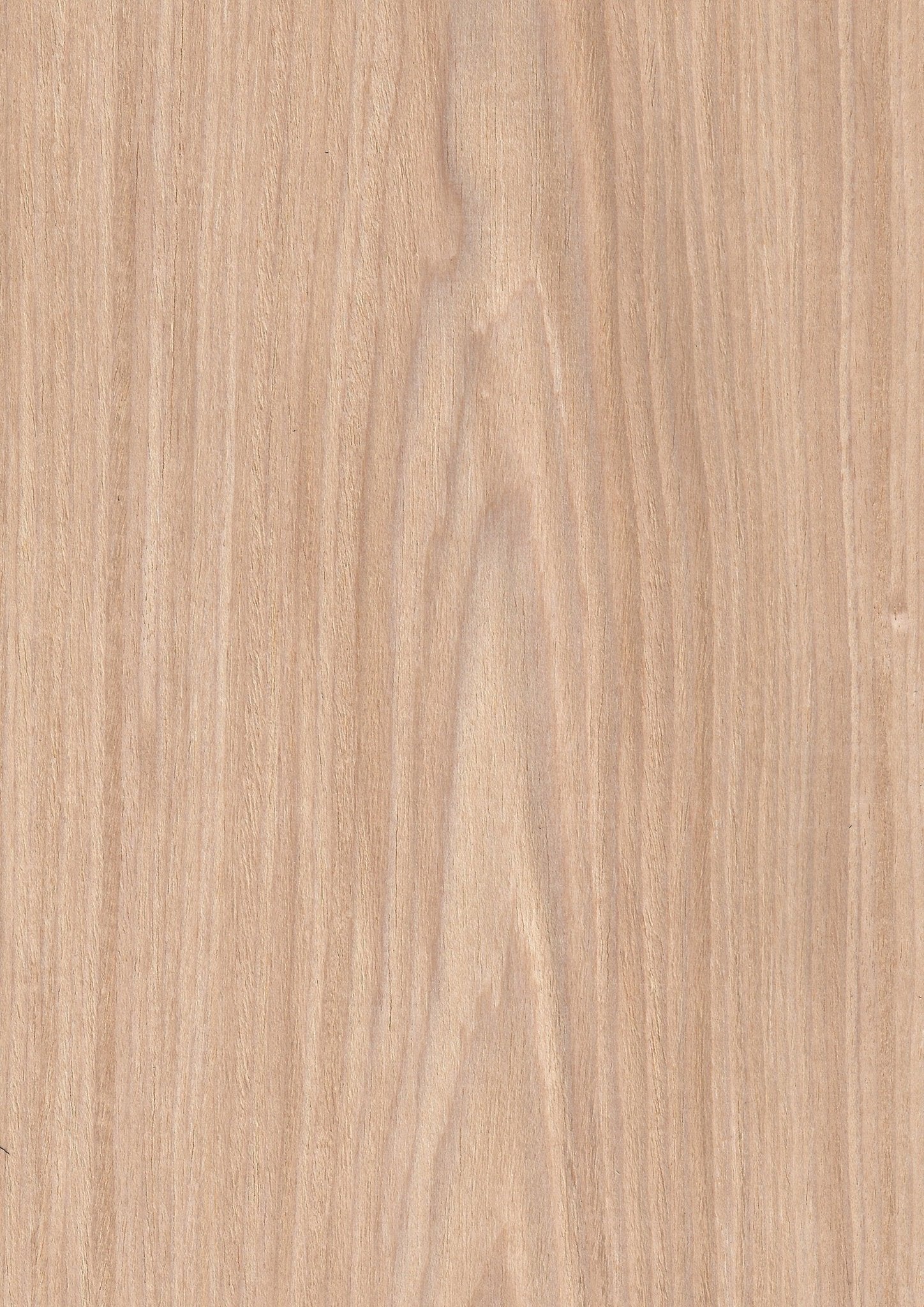Wood Veneer - Alder 2363C - DF Richards Veneers