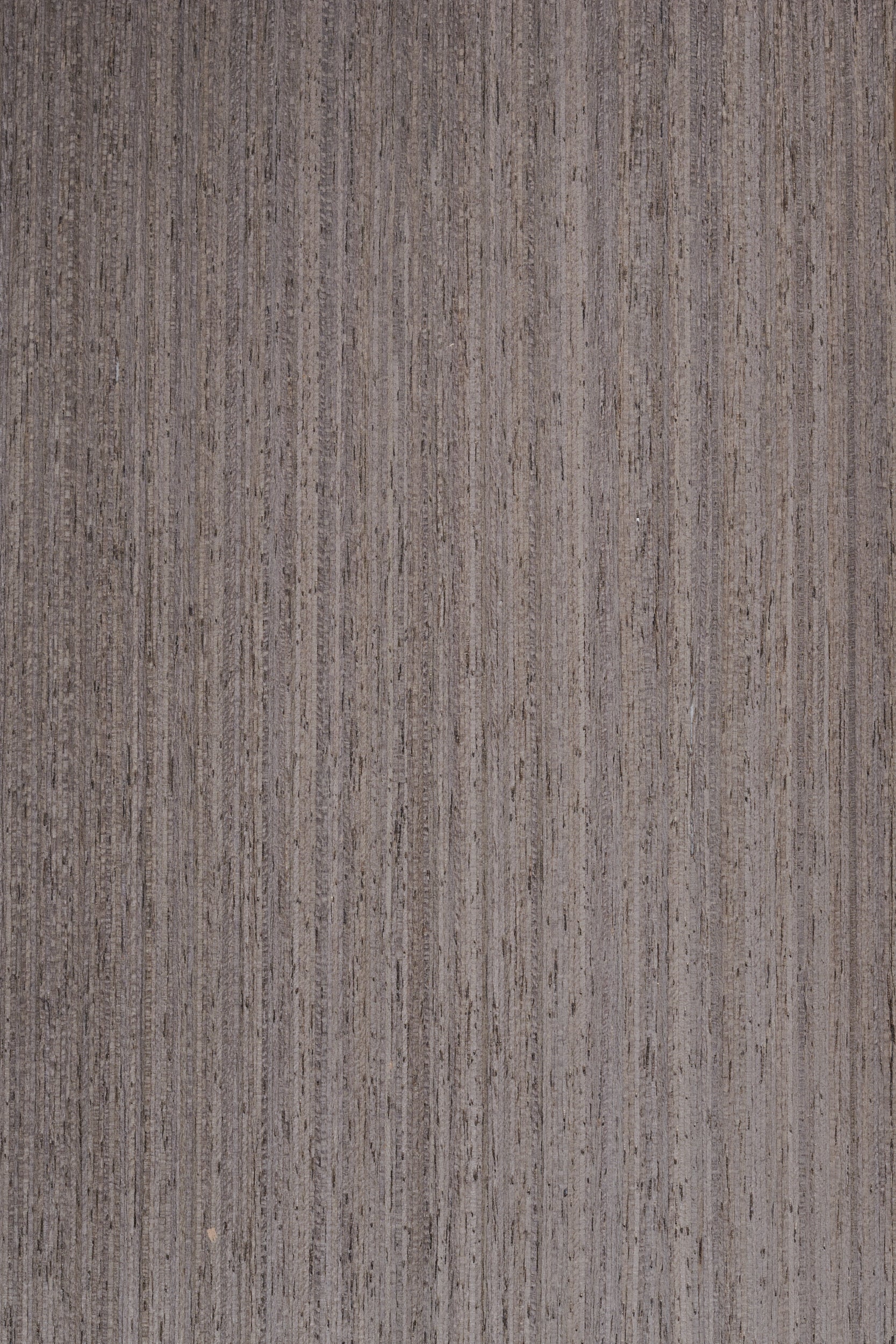 Wood Veneer - Silver Oak 386Q - DF Richards Veneers