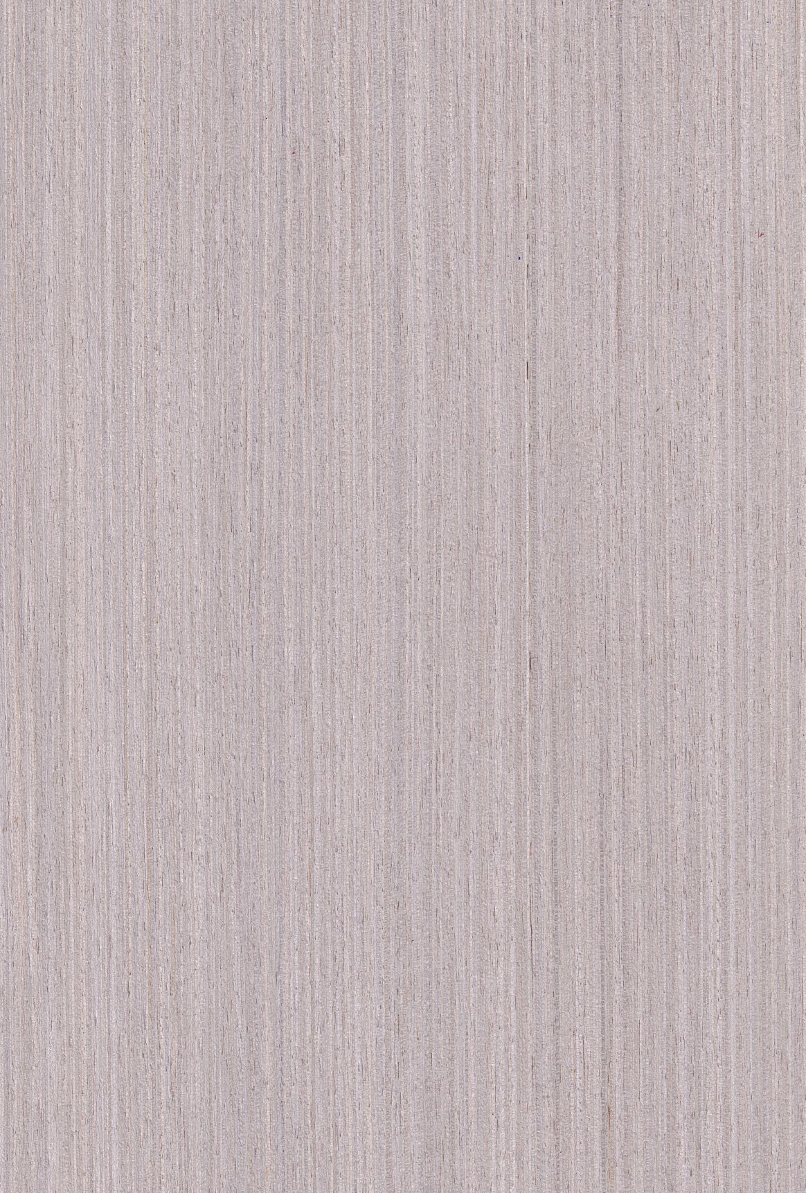 Wood Veneer - Silver Oak 3801Q - DF Richards Veneers