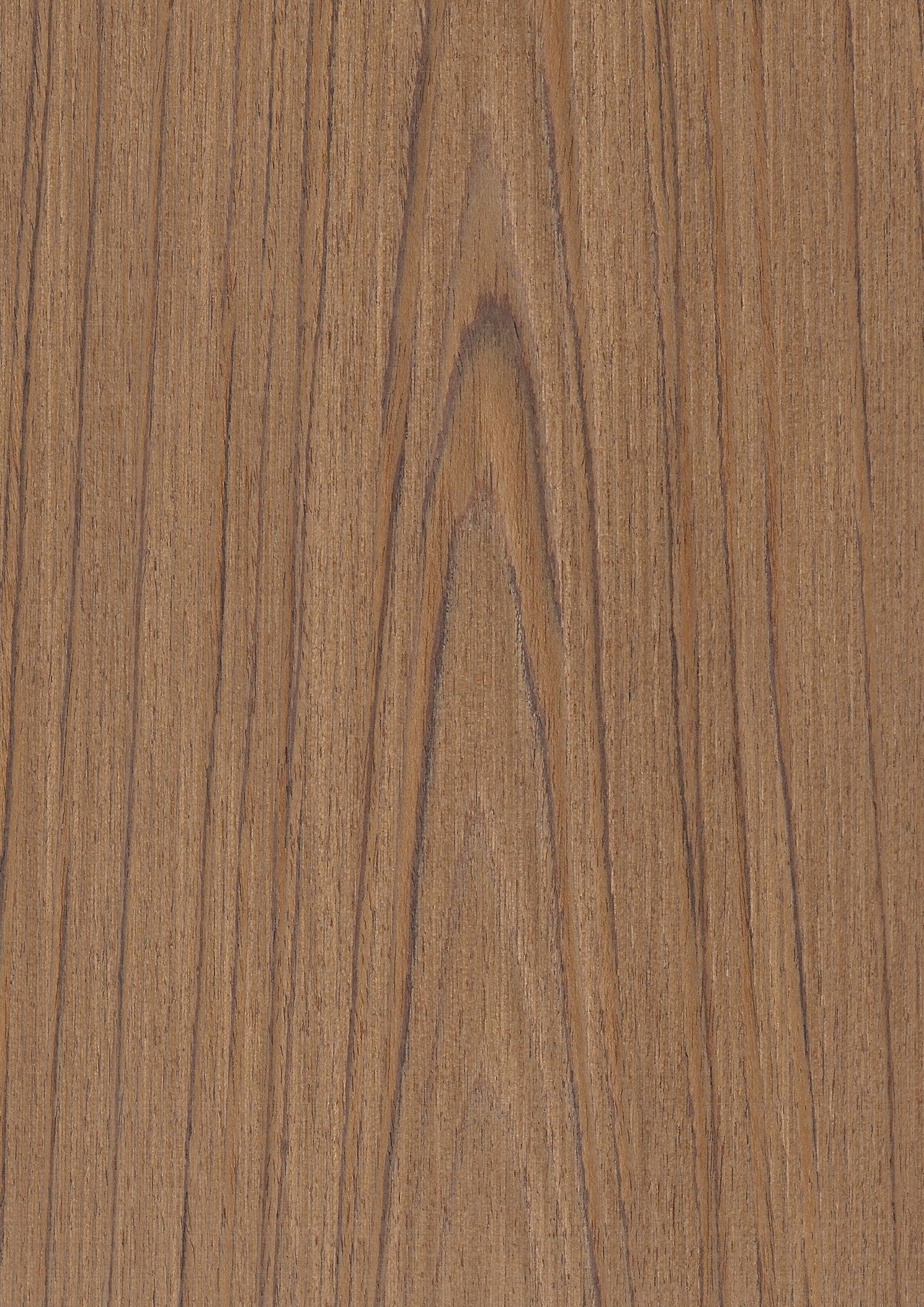 Wood Veneer - Teak 117C - DF Richards Veneers
