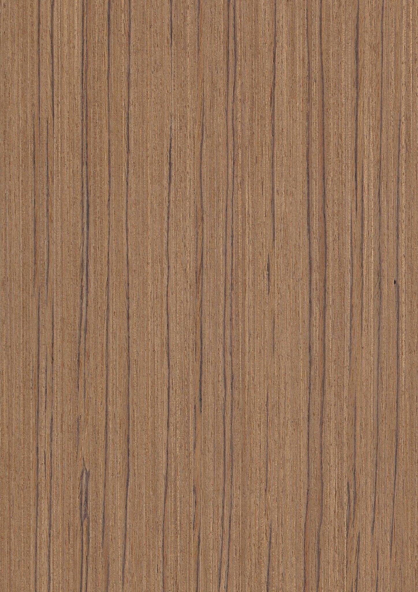 Wood Veneer - Teak 117S - DF Richards Veneers
