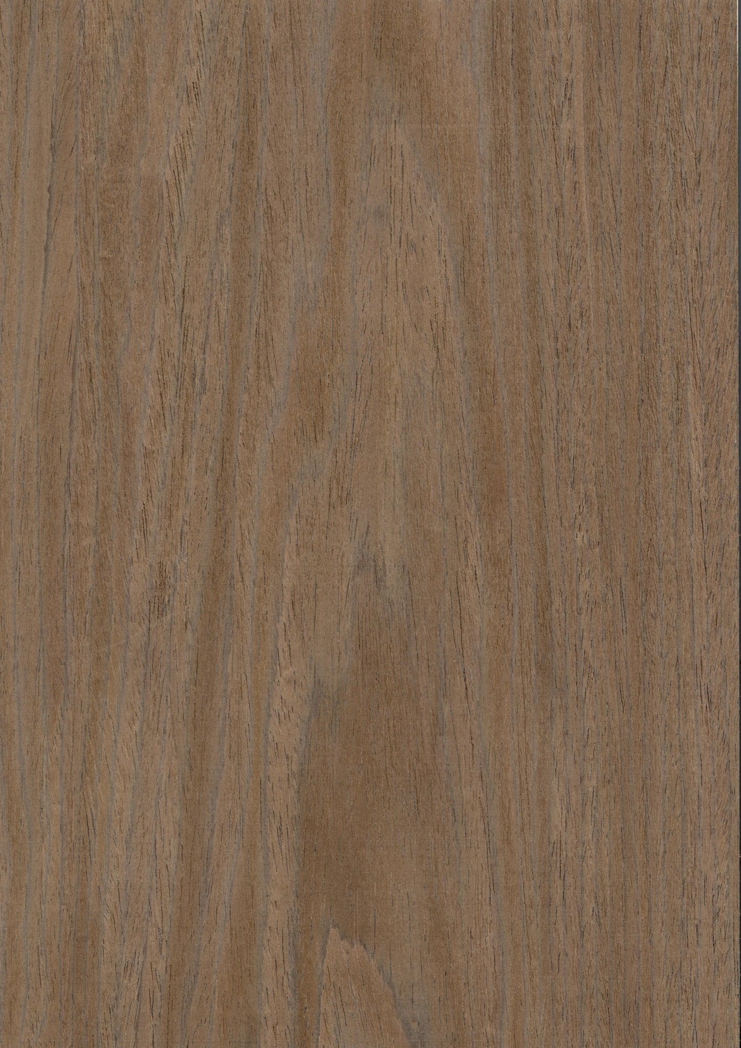 Wood Veneer - Walnut 5368C - DF Richards Veneers
