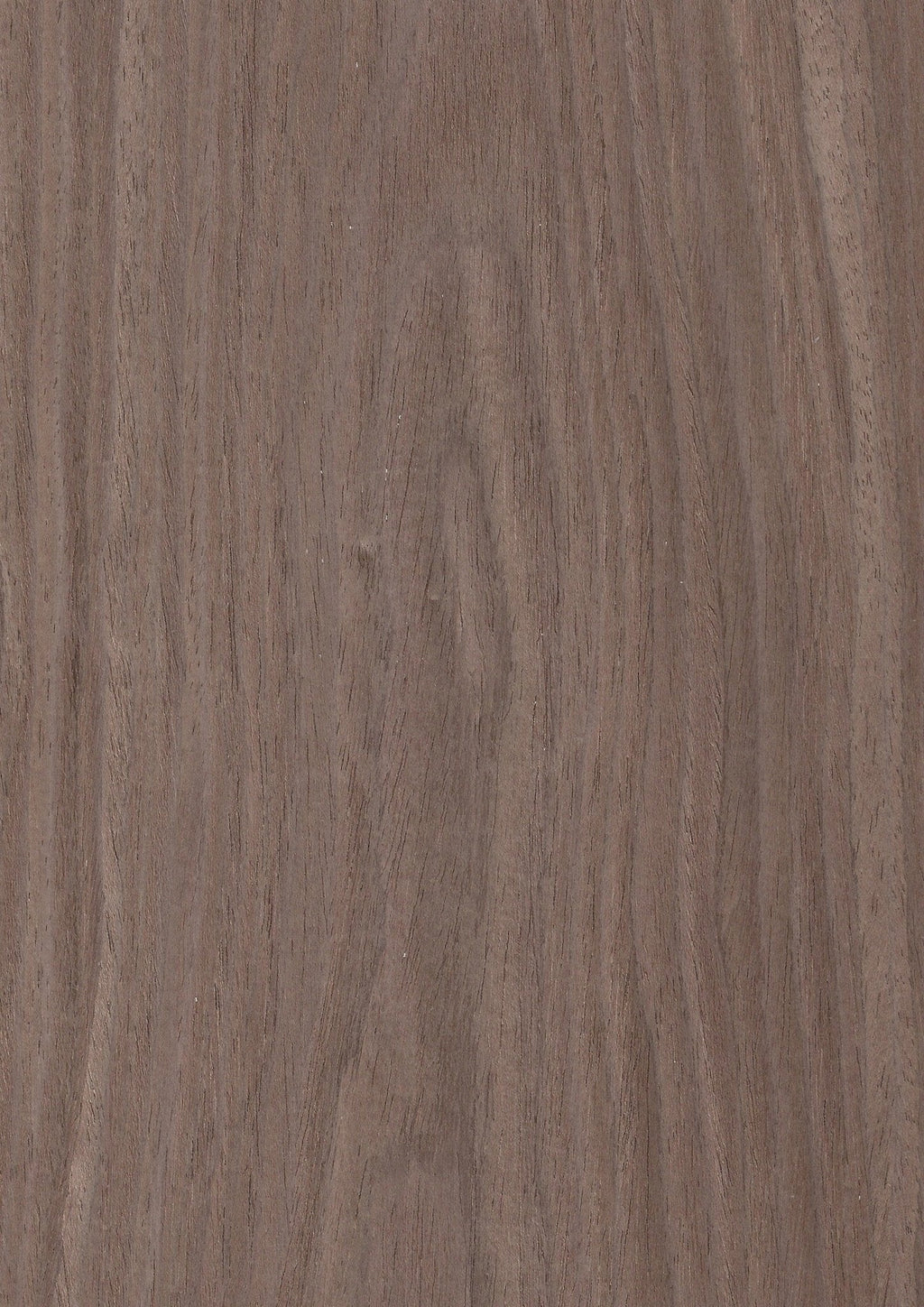 Wood Veneer - Walnut 9691C - DF Richards Veneers