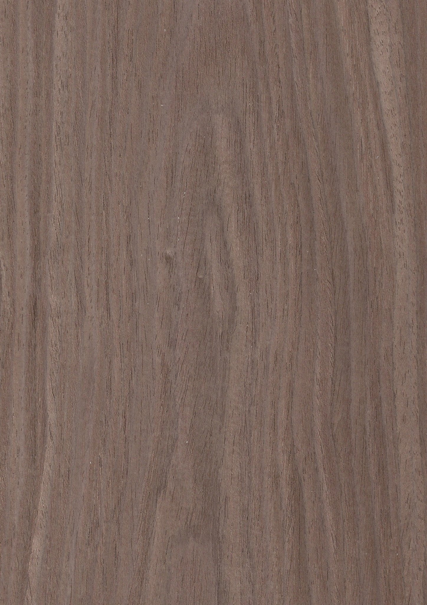 Wood Veneer - Walnut 9691C - DF Richards Veneers